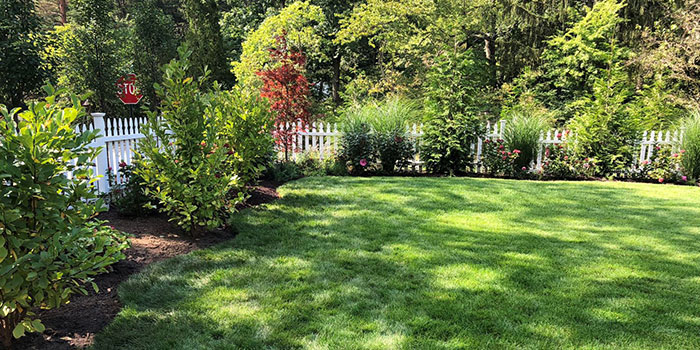 landscaped backyard on a sunny day with a white fence